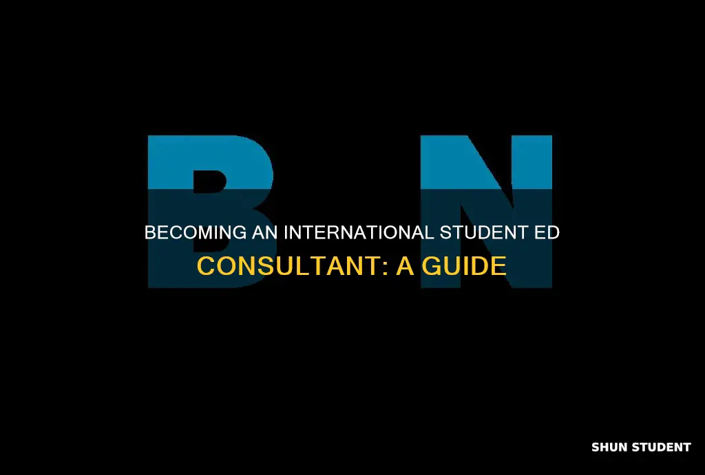how to become an independent educational consultant to international students