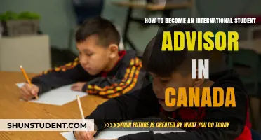 Becoming an International Student Advisor in Canada: A Guide