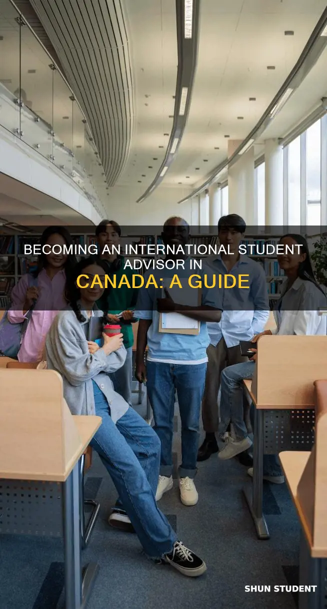 how to become an international student advisor in canada