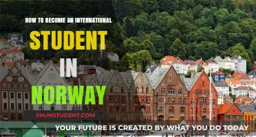 A Guide to Becoming an International Student in Norway