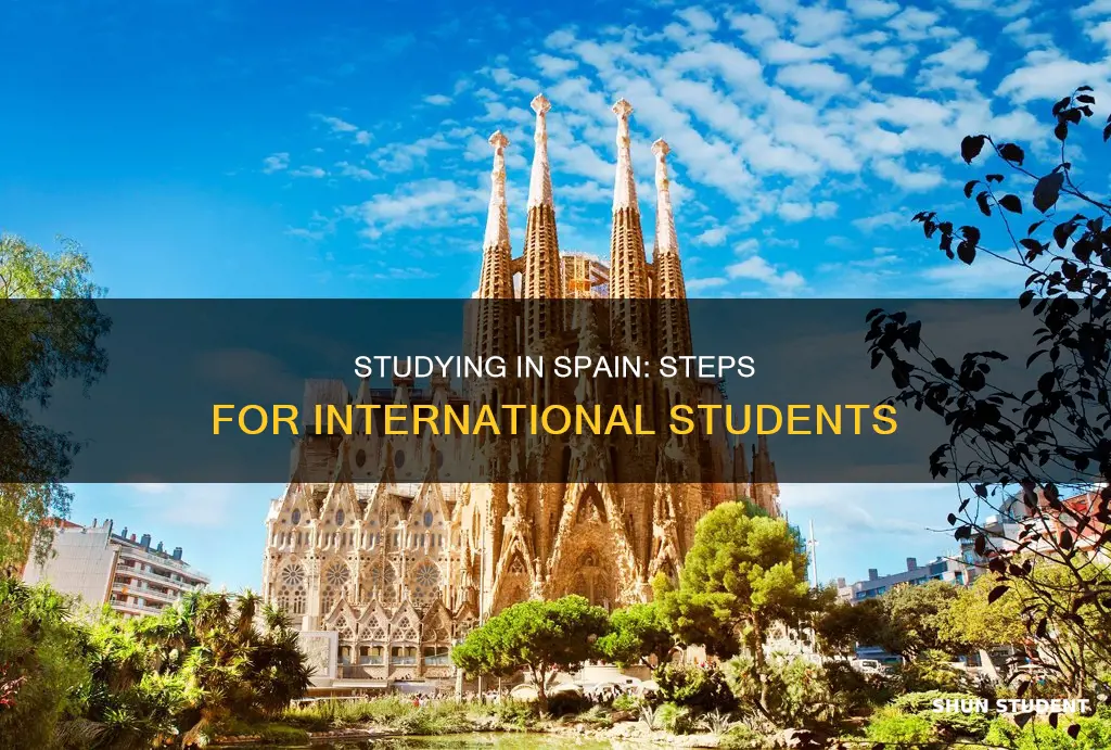 how to become an international student in spain