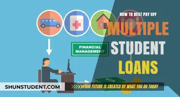 Strategizing to Repay Multiple Student Loans