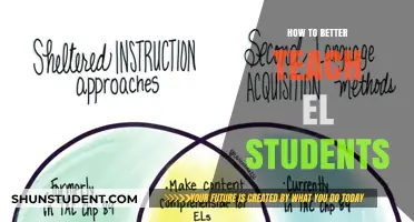 Effective Strategies for Teaching EL Students: Enhancing Language Learning