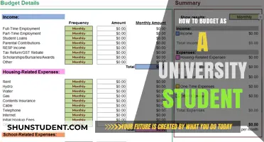 University Students: Budgeting for a Better Future