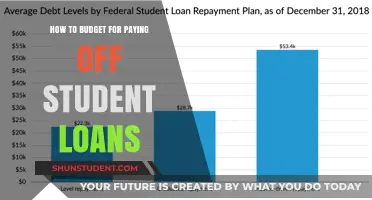 Strategizing Finances to Repay Student Loans
