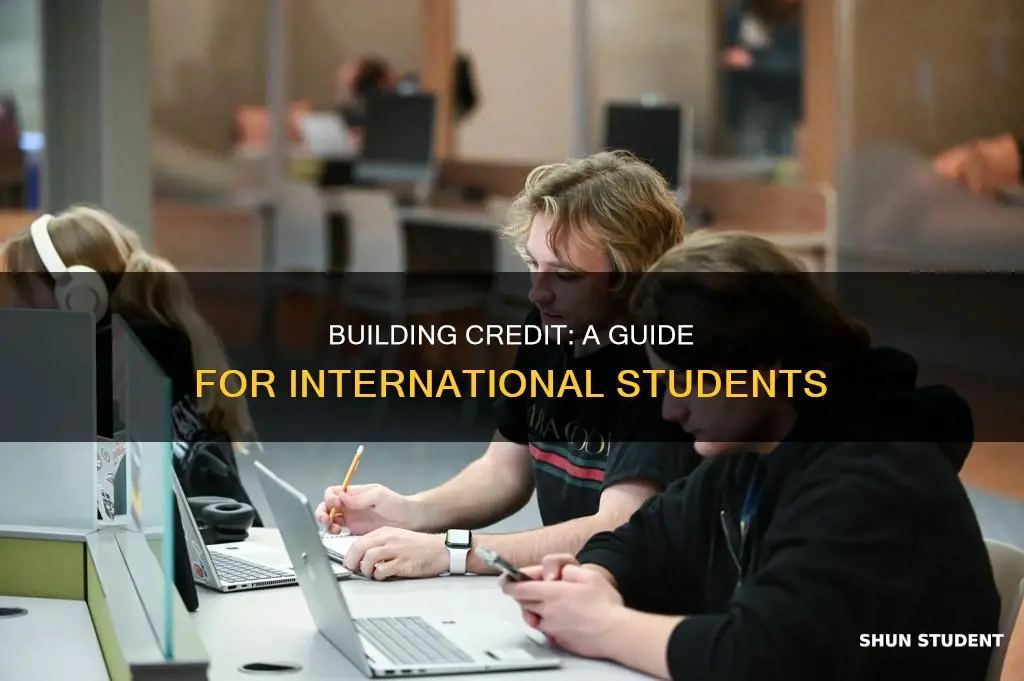 how to build credit as an international student