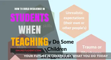 Fostering Resilience in Students: Strategies for Empowering Lifelong Learners