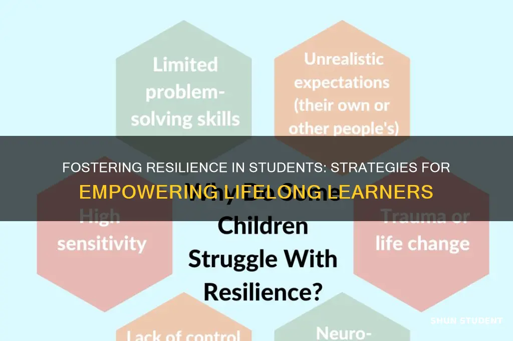 how to build resilience in students when teaching