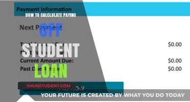 Strategizing to Pay Off Your Student Loan
