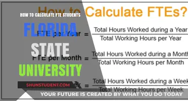 Calculating FTE for Florida State University Students