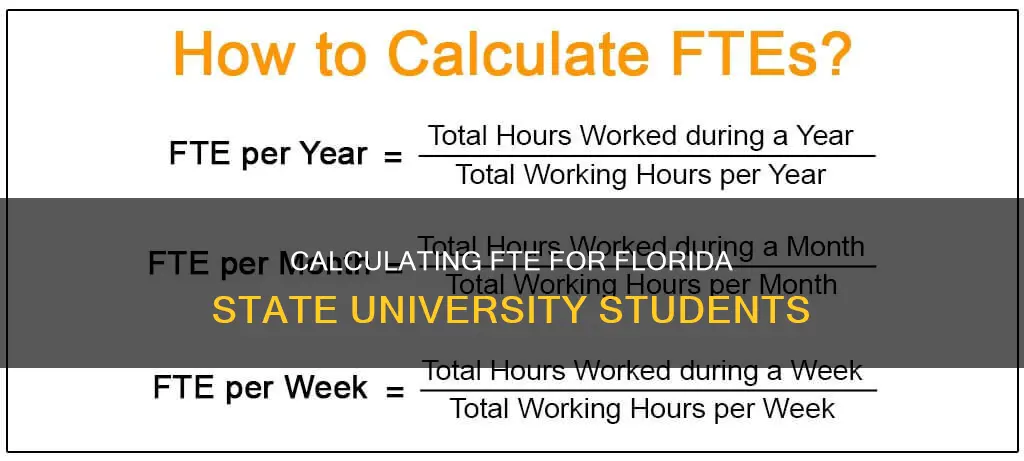 how to calculate fte students florida state university