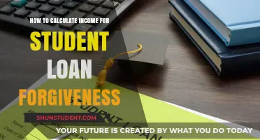 Mastering Income Calculation for Student Loan Forgiveness Success