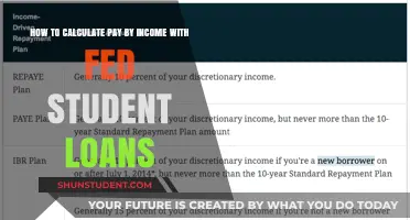 Student Loan Repayment: Calculating Income-Driven Payments