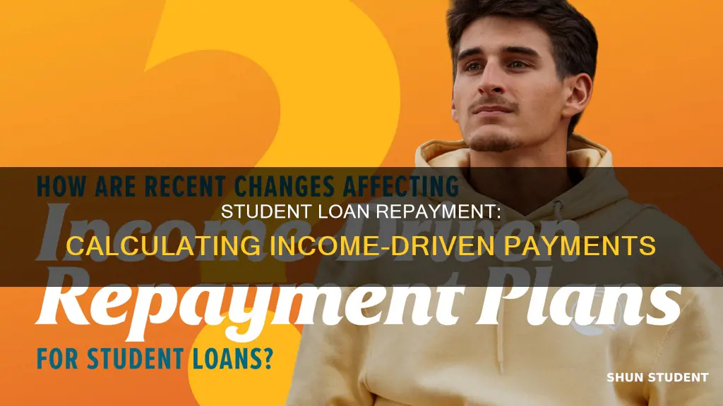 how to calculate pay by income with fed student loans