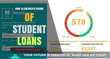 Student Loan Payment Strategies: Calculating Your Way Out