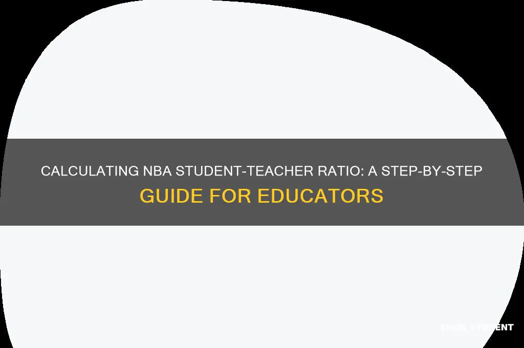 how to calculate student teacher ratio for nba