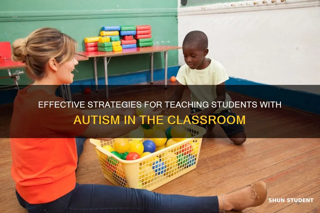 how to can classroom teachers teach a student with autism