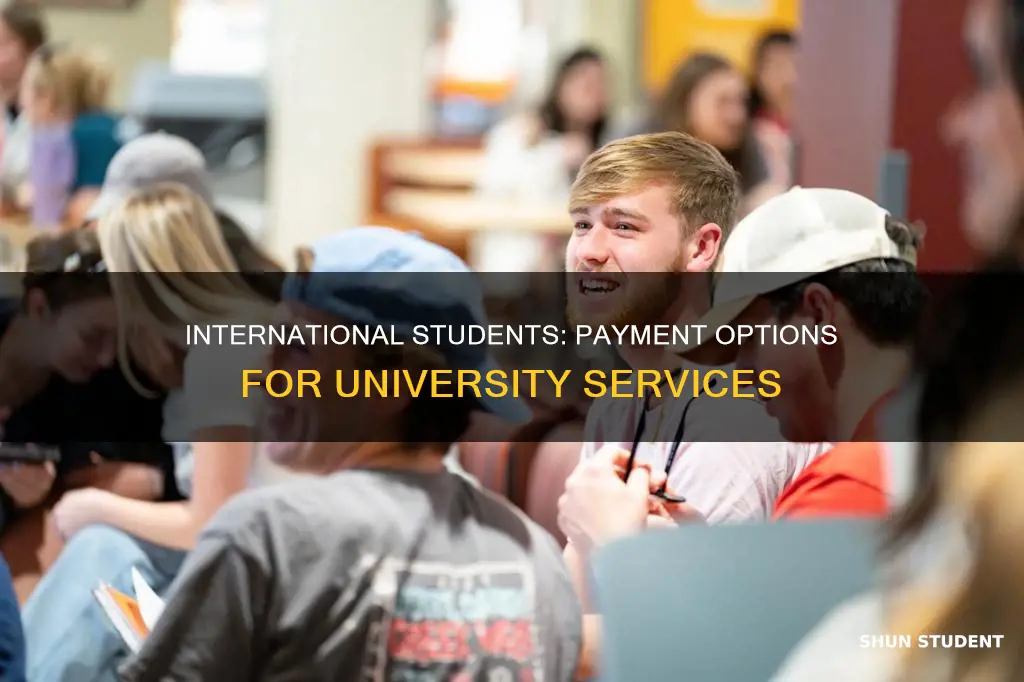 how to can international student pay is service