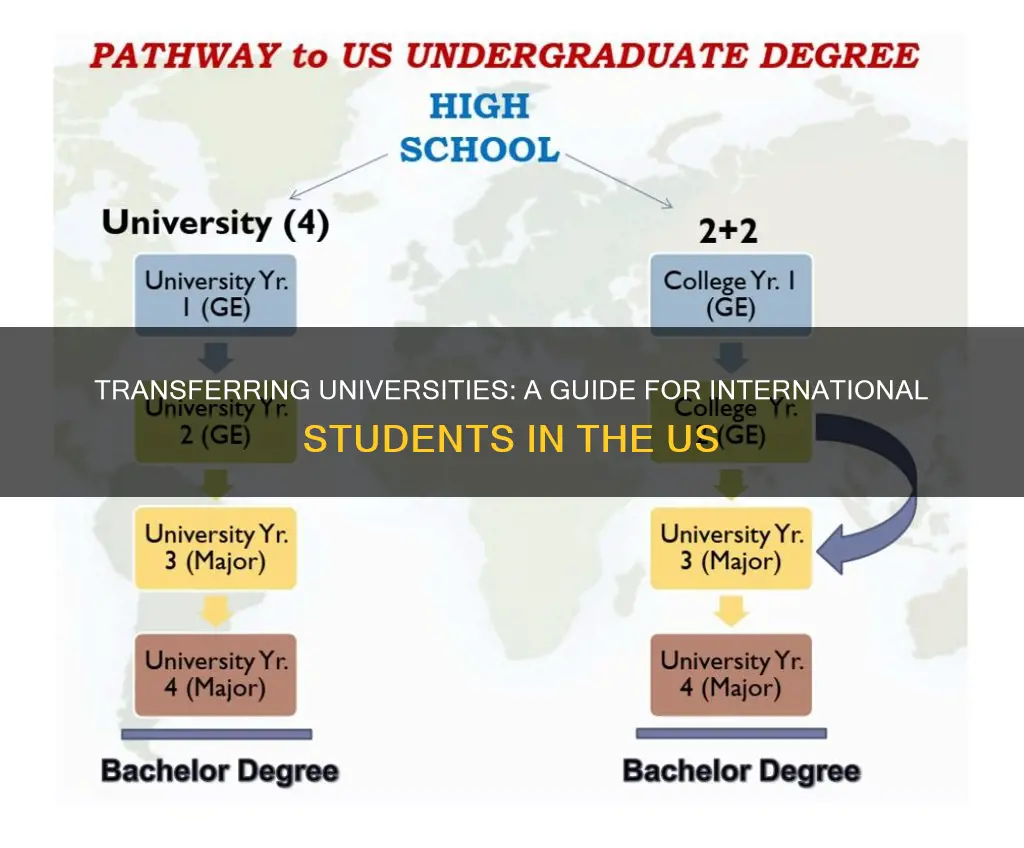 how to change university in usa for international students