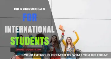 Credit Scores: A Guide for International Students
