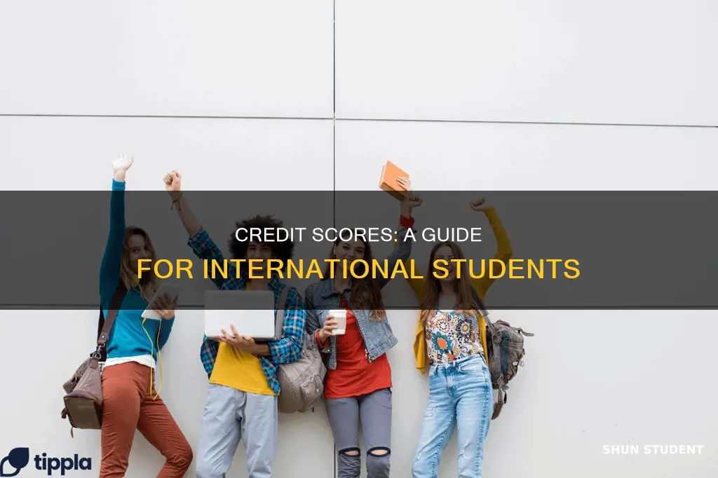 how to check credit score for international students