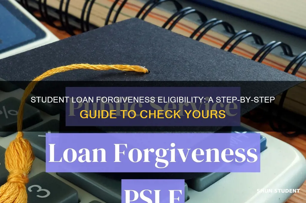 how to check eligibility for student loan forgiveness