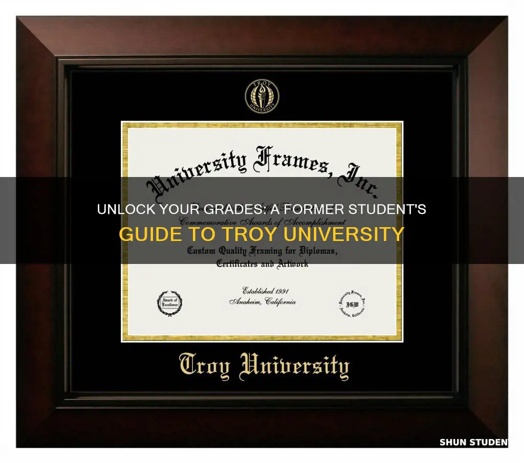 how to check my grade with troy university former student