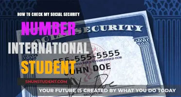 Verifying Your Social Security Number as an International Student