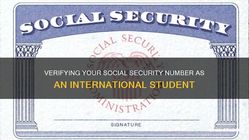 how to check my social security number international student