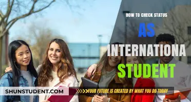 International Student Status: How to Check and Verify