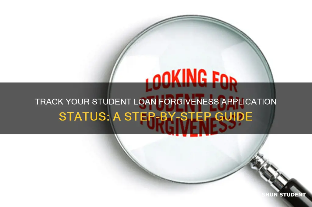 how to check status of student loan forgiveness application