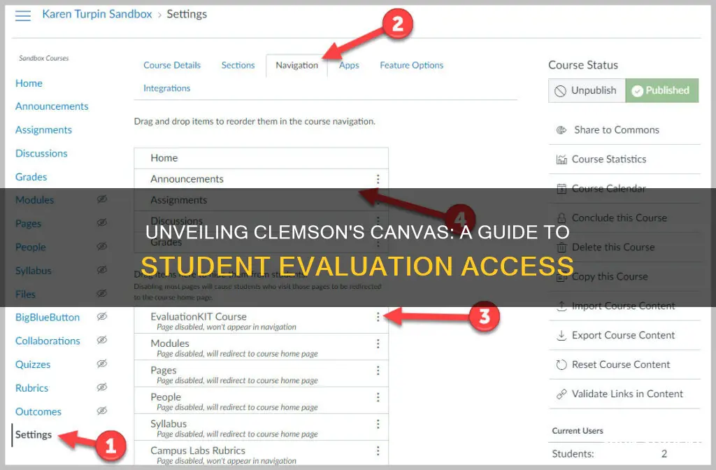 how to check student evaluations on canvas clemson university