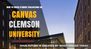 Student Evaluations on Canvas: Clemson University Guide