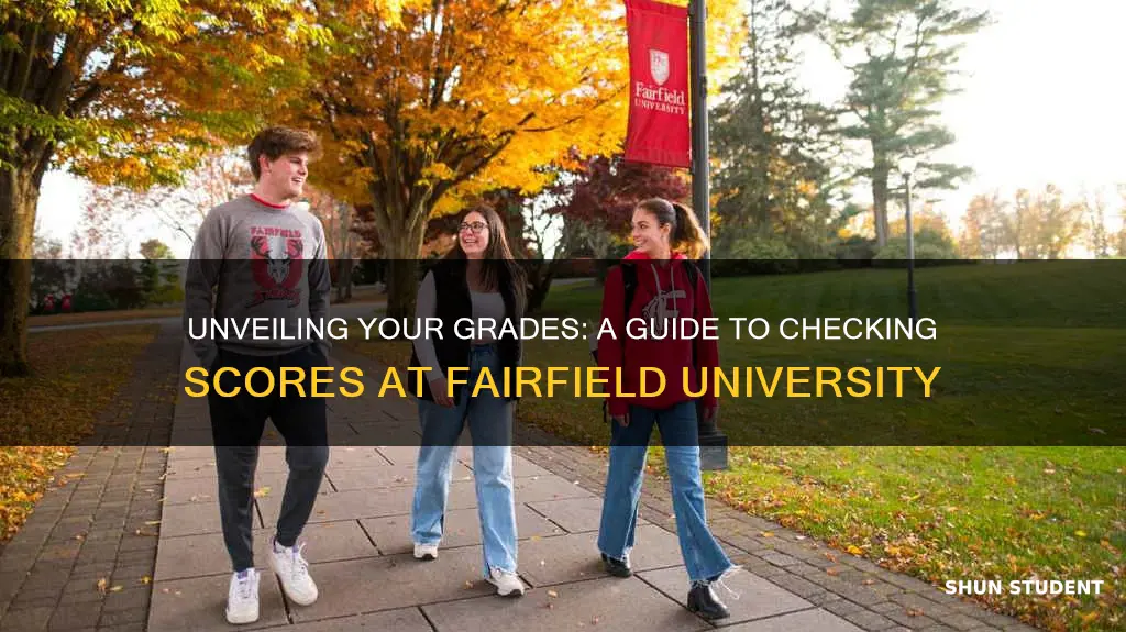 how to check students grades at fairifield university