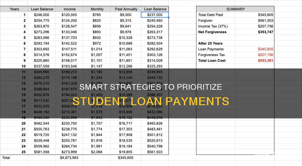 how to choose which student loan to pay off first