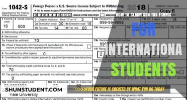 Claiming SSN Tax Forms: A Guide for International Students