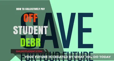 Strategies for a Student Debt-Free Future