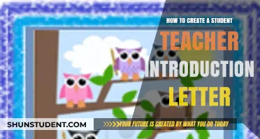 Crafting a Perfect Student-Teacher Introduction Letter: Tips and Examples