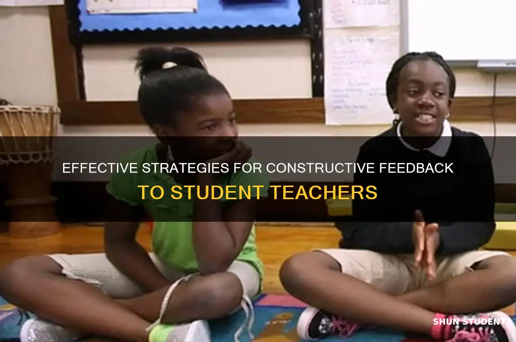 how to critique a student teacher