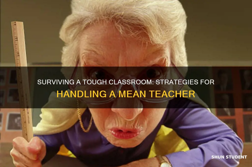 how to deal with a mean teacher as a student