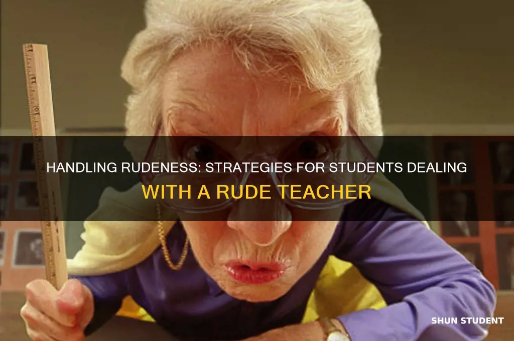 how to deal with a rude teacher as a student