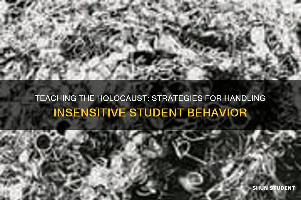 how to deal with insensitive students when teaching the holocaust