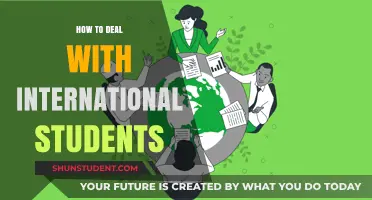 Welcoming International Students: Strategies for a Warm Embrace