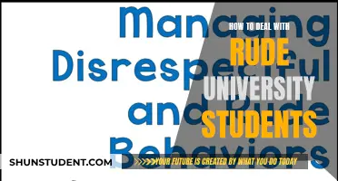 Managing Rudeness: Strategies for Dealing with Uncivil University Students