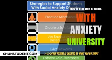Anxiety in University: Strategies for Support and Success