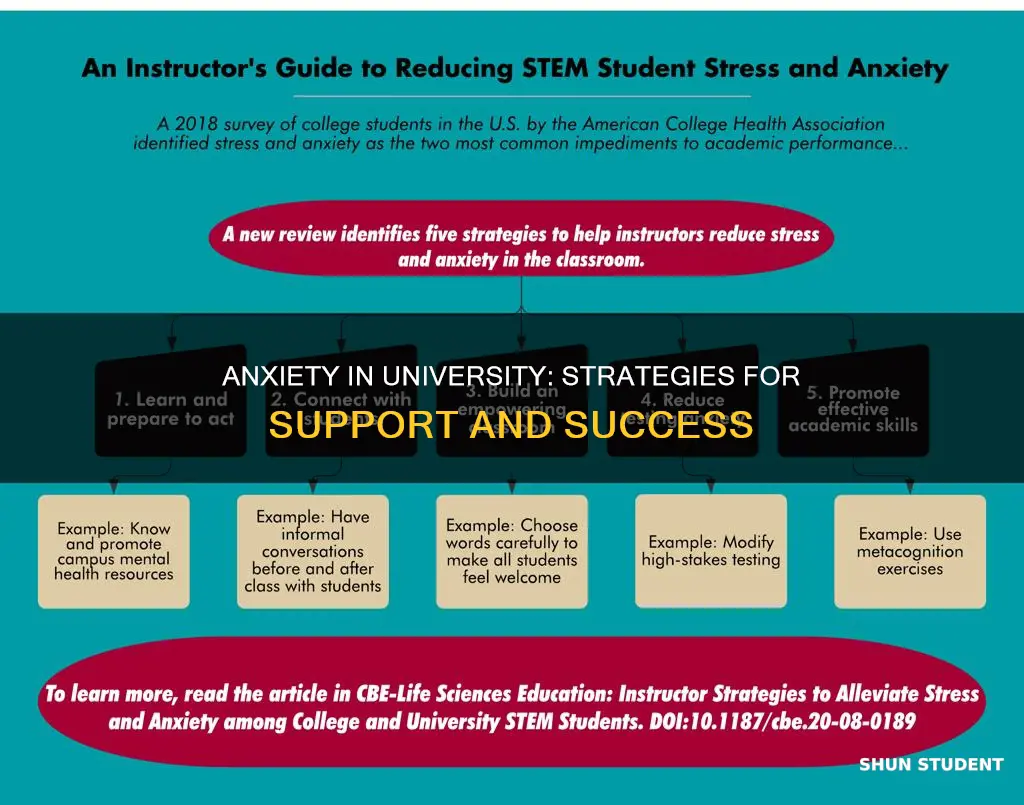 how to deal with students with anxiety university