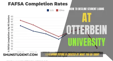 Navigating Otterbein's Loan Landscape: Strategies for Declining Student Debt