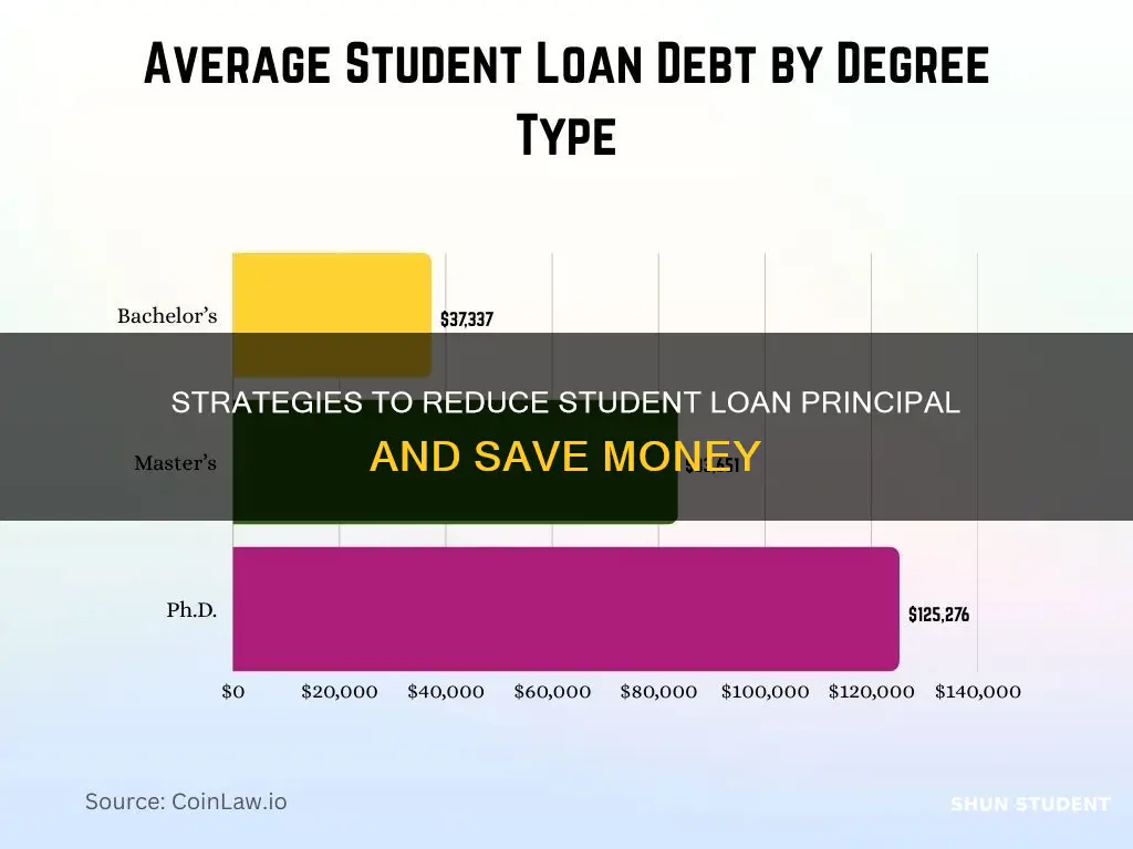 how to decrease student loan by paying off principal