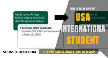 Delaying OPT: Strategies for International Students in the US