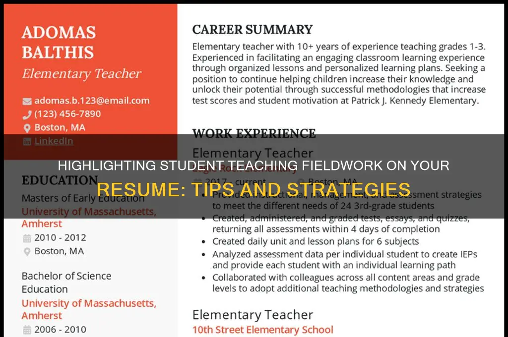 how to describe student teaching fieldwork on a resume